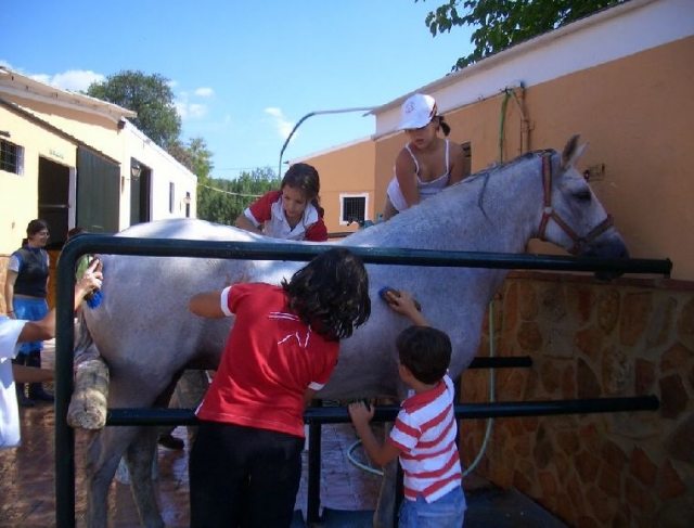 Taking care of the horse 